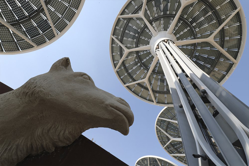 Explore the Wonders of Natural World in Expo 2020 Dubai’s Terra – The Sustainability Pavilion