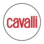 Interiors by Cavalli